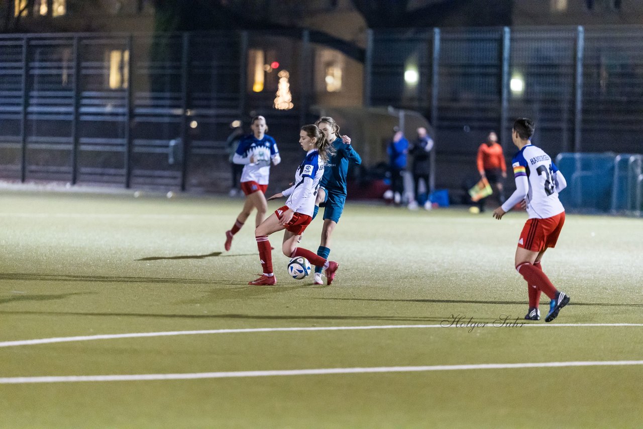 Bild 182 - F SC Alstertal-Langenhorn - Hamburger SV 3 : Ergebnis: 2:2